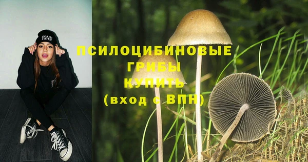 индика Алексеевка