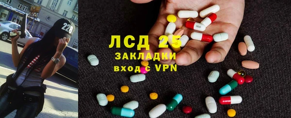 индика Алексеевка