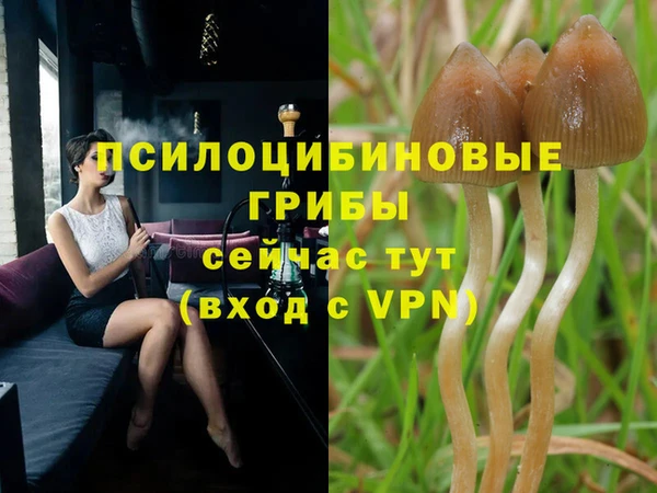 МДПВ Краснослободск