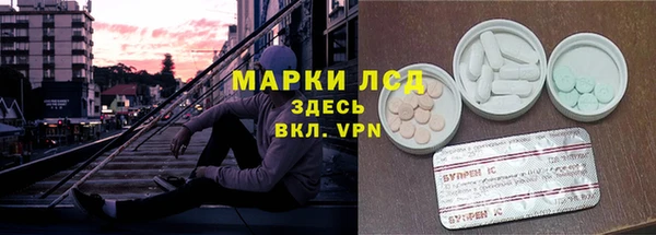 мяу мяу мука Аркадак