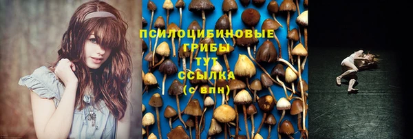 винт Алзамай