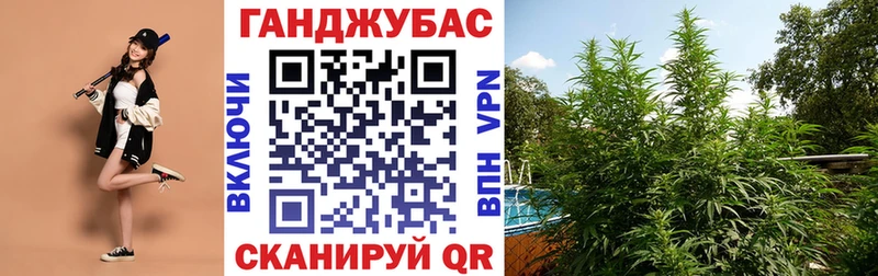 Канабис Ganja  продажа наркотиков  Багратионовск 